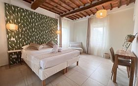 NEW! -Verderame Rooms&Suite in Lucca